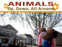 _Animals_Up__Down__All_Around_